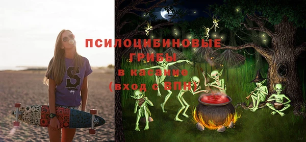 mdpv Волоколамск