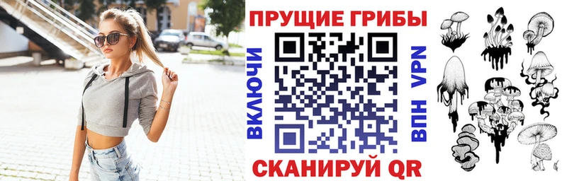 Купить где  Волгодонск  Псилоцибиновые грибы Magic Shrooms 