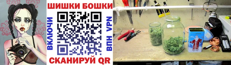 Купить где  Волгодонск  Каннабис семена 
